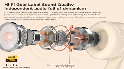 Hi-Fi Gold-Standard Audio
